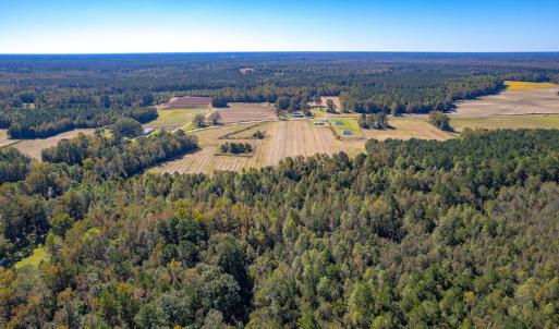 Photo #11 of SOLD property in Off Millie-Christine Road, Whiteville, NC 9.3 acres