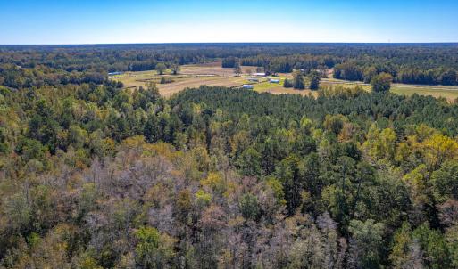 Photo #23 of SOLD property in Off Millie-Christine Road, Whiteville, NC 9.3 acres