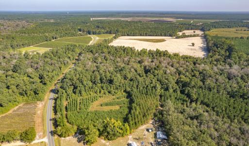 Photo #5 of SOLD property in Off Mote Road, Harrells, NC 15.7 acres