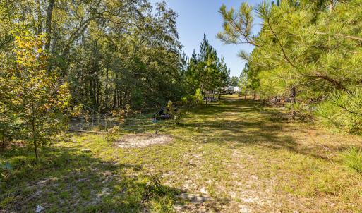 Photo #31 of SOLD property in Off Mote Road, Harrells, NC 15.7 acres