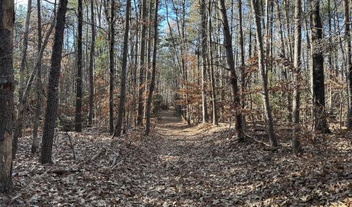 Photo #7 of SOLD property in Off Gera Rd, King George, VA 82.0 acres