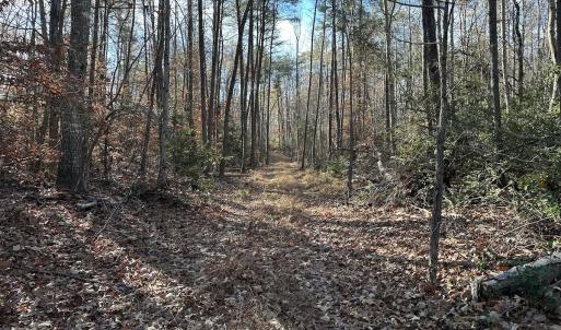 Photo #9 of SOLD property in Off Gera Rd, King George, VA 82.0 acres