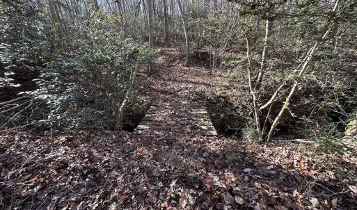 Photo #10 of SOLD property in Off Gera Rd, King George, VA 82.0 acres