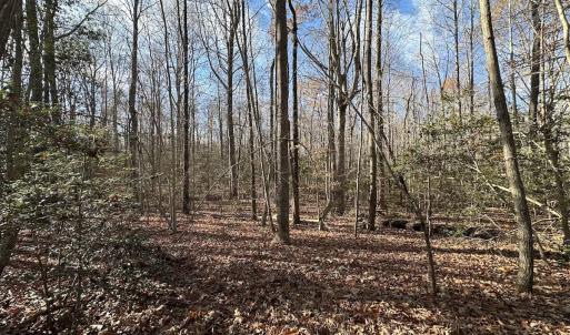 Photo #11 of SOLD property in Off Gera Rd, King George, VA 82.0 acres