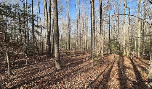 Photo #12 of SOLD property in Off Gera Rd, King George, VA 82.0 acres