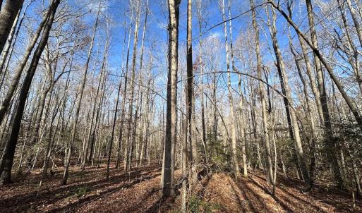Photo #13 of SOLD property in Off Gera Rd, King George, VA 82.0 acres