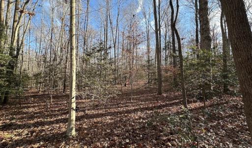 Photo #16 of SOLD property in Off Gera Rd, King George, VA 82.0 acres