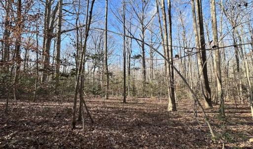 Photo #17 of SOLD property in Off Gera Rd, King George, VA 82.0 acres
