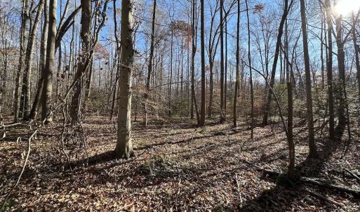 Photo #20 of SOLD property in Off Gera Rd, King George, VA 82.0 acres