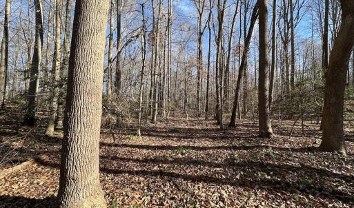 Photo #21 of SOLD property in Off Gera Rd, King George, VA 82.0 acres