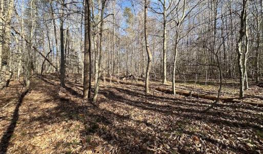 Photo #23 of SOLD property in Off Gera Rd, King George, VA 82.0 acres