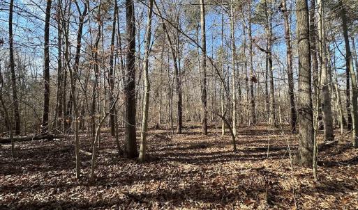 Photo #24 of SOLD property in Off Gera Rd, King George, VA 82.0 acres
