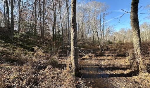 Photo #29 of SOLD property in Off Gera Rd, King George, VA 82.0 acres