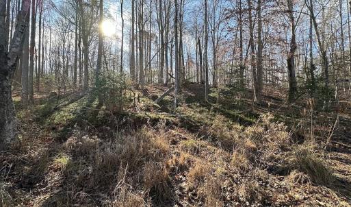 Photo #30 of SOLD property in Off Gera Rd, King George, VA 82.0 acres