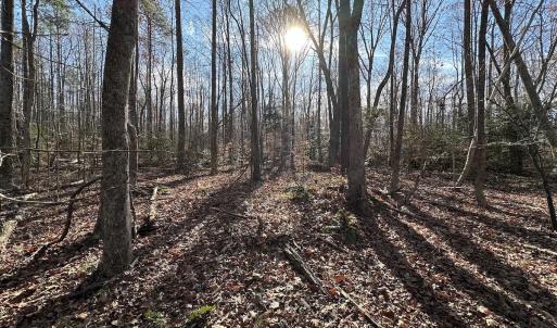 Photo #33 of SOLD property in Off Gera Rd, King George, VA 82.0 acres