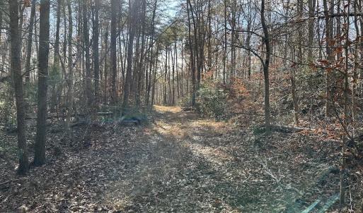 Photo #38 of SOLD property in Off Gera Rd, King George, VA 82.0 acres