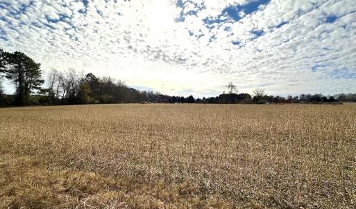 Photo #23 of Off Walters Hwy, Carrsville, VA 34.3 acres