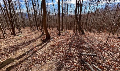 Photo #39 of SOLD property in 1373, 1397, 1398 Peaches N Cream Ln, Bedford, VA 122.2 acres