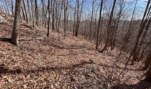 Photo #56 of SOLD property in 1373, 1397, 1398 Peaches N Cream Ln, Bedford, VA 122.2 acres