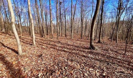 Photo #57 of SOLD property in 1373, 1397, 1398 Peaches N Cream Ln, Bedford, VA 122.2 acres