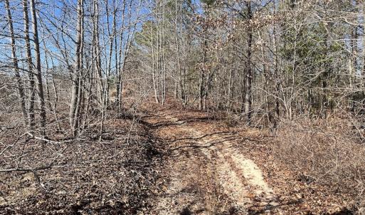 Photo #19 of 01 Josey Williams Road, Erwin, NC 10.9 acres