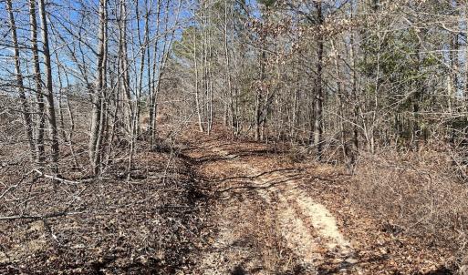 Photo #16 of 02 Josey Williams Road, Erwin, NC 11.0 acres