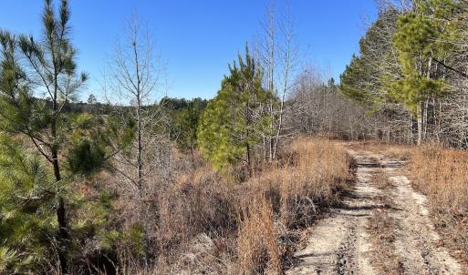 Photo #19 of 02 Josey Williams Road, Erwin, NC 11.0 acres