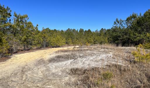 Photo #20 of 02 Josey Williams Road, Erwin, NC 11.0 acres