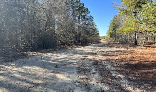 Photo #24 of 02 Josey Williams Road, Erwin, NC 11.0 acres