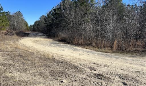 Photo #25 of 02 Josey Williams Road, Erwin, NC 11.0 acres