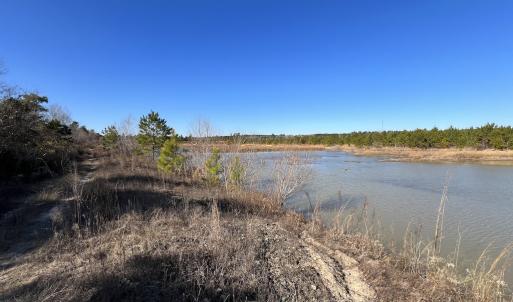 Photo #19 of SOLD property in 04 Josey Williams Road, Erwin, NC 11.0 acres
