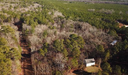Photo #2 of SOLD property in 7251 Baxter Rd, Disputanta, VA 21.8 acres
