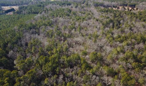 Photo #7 of SOLD property in 7251 Baxter Rd, Disputanta, VA 21.8 acres