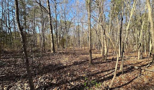 Photo #11 of SOLD property in 7251 Baxter Rd, Disputanta, VA 21.8 acres