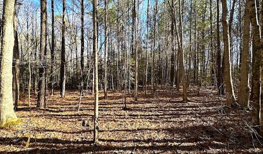 Photo #17 of SOLD property in 7251 Baxter Rd, Disputanta, VA 21.8 acres