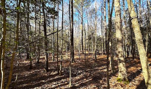 Photo #18 of SOLD property in 7251 Baxter Rd, Disputanta, VA 21.8 acres