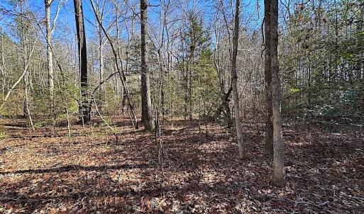 Photo #19 of SOLD property in 7251 Baxter Rd, Disputanta, VA 21.8 acres