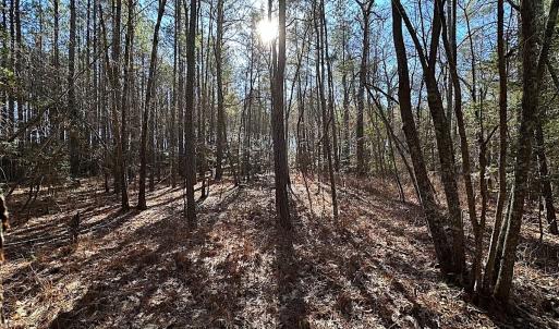 Photo #22 of SOLD property in 7251 Baxter Rd, Disputanta, VA 21.8 acres