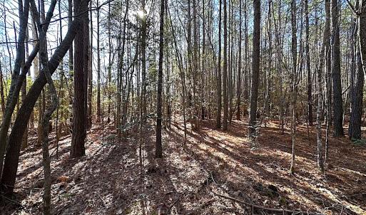 Photo #24 of SOLD property in 7251 Baxter Rd, Disputanta, VA 21.8 acres