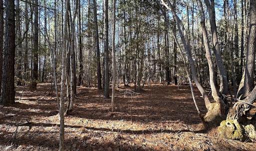 Photo #26 of SOLD property in 7251 Baxter Rd, Disputanta, VA 21.8 acres