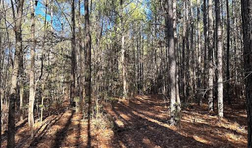 Photo #28 of SOLD property in 7251 Baxter Rd, Disputanta, VA 21.8 acres