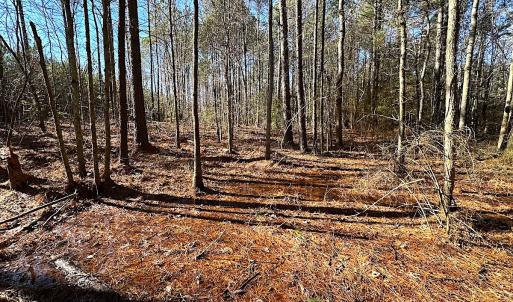 Photo #32 of SOLD property in 7251 Baxter Rd, Disputanta, VA 21.8 acres