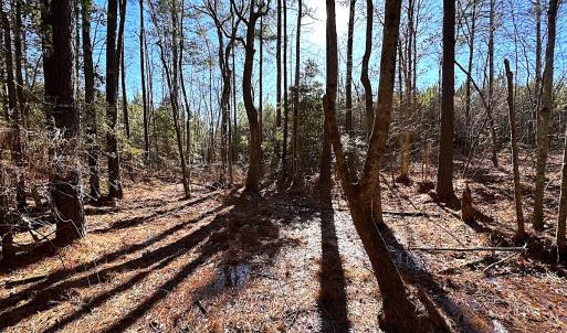 Photo #33 of SOLD property in 7251 Baxter Rd, Disputanta, VA 21.8 acres