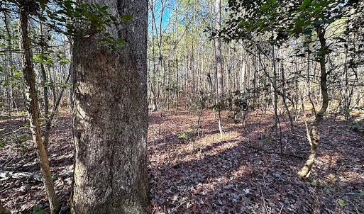 Photo #35 of SOLD property in 7251 Baxter Rd, Disputanta, VA 21.8 acres