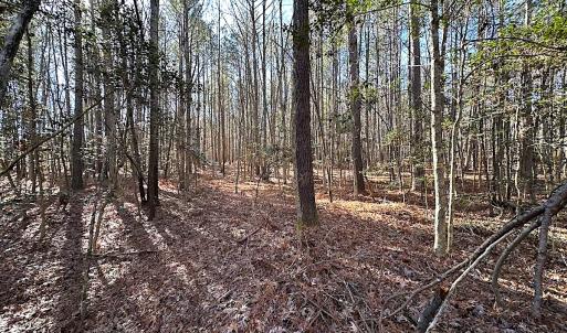 Photo #36 of SOLD property in 7251 Baxter Rd, Disputanta, VA 21.8 acres