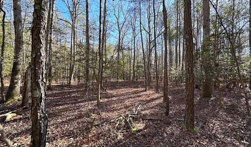 Photo #29 of SOLD property in Off Big Pine Rd, Painter, VA 31.8 acres