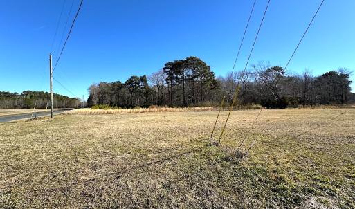 Photo #33 of SOLD property in Off Big Pine Rd, Painter, VA 31.8 acres