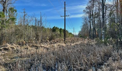 Photo #21 of SOLD property in Off Halls Creek Rd, Elizabeth City, NC 75.6 acres