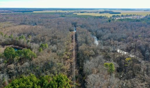 Photo #24 of SOLD property in Off Halls Creek Rd, Elizabeth City, NC 75.6 acres