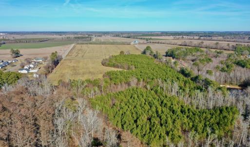 Photo #27 of SOLD property in Off Halls Creek Rd, Elizabeth City, NC 75.6 acres